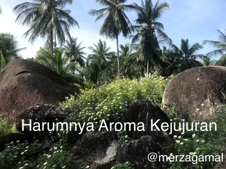 Image by Merza Gamal (lokasi: Natuna Dive Resort)